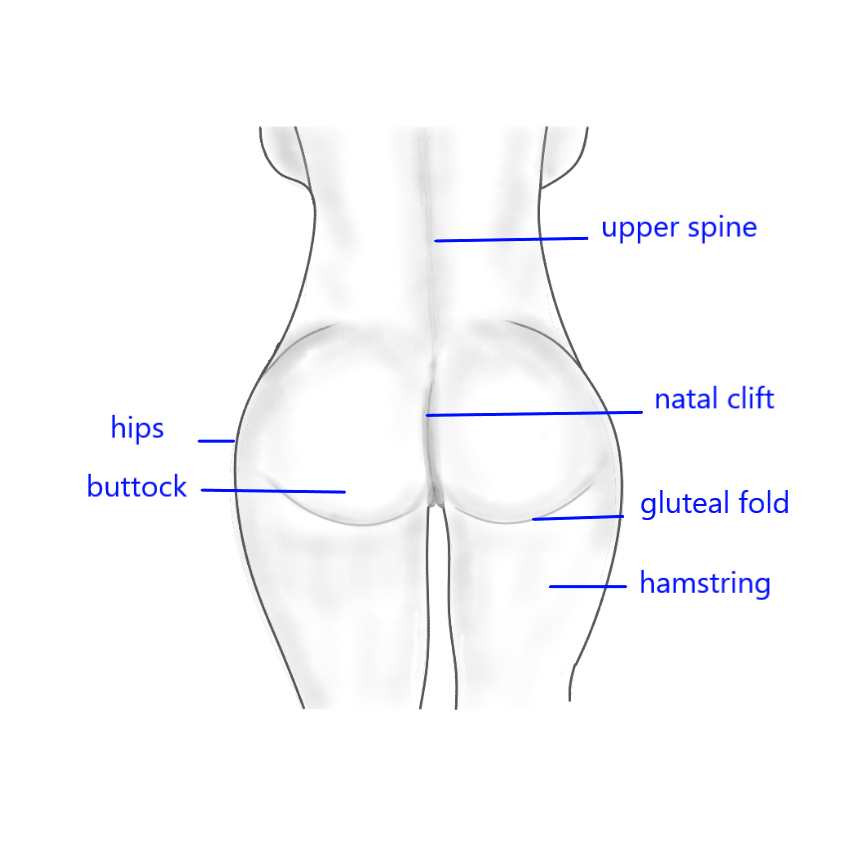 parts of buttocks