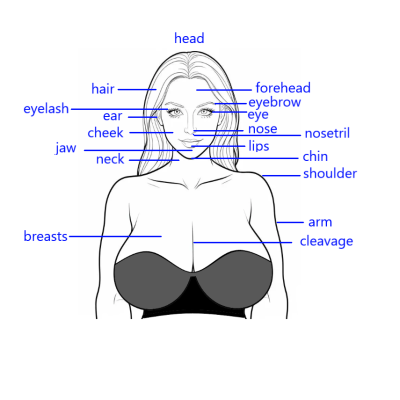 Female face parts name